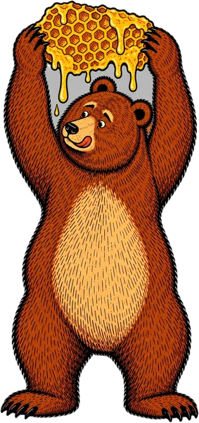 The Bear with a honeycomb
